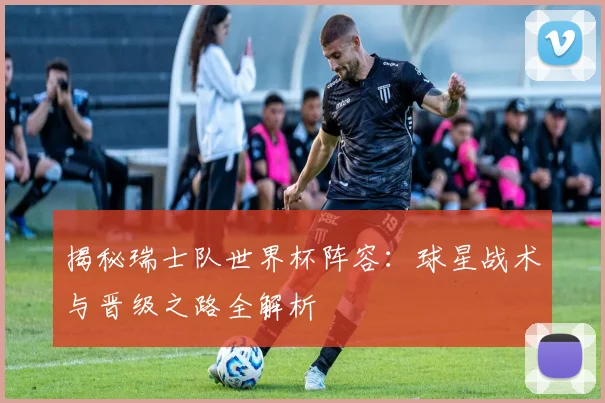揭秘瑞士队世界杯阵容：球星战术与晋级之路全解析
